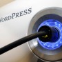 wordpress plugin